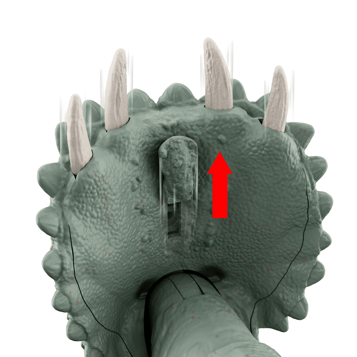 Jurassic World  Méga Action  Tricératops, Espèce de Grande Taille